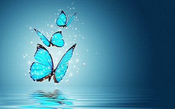 High Quality Butterfly The Quotes Land 1920Ã1200 Butterfly | Adorable HD wallpaper